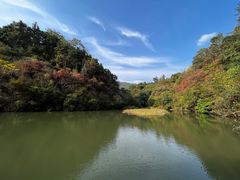 -洪崖丹井