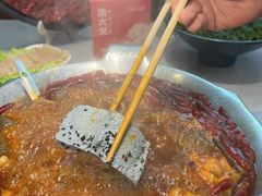 -渝大龙重庆火锅(温泉月亮湾店)