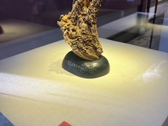 -福建省非物质文化遗产博览苑