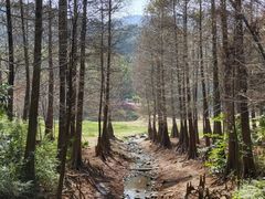 -广州市白云山风景名胜区