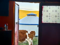 -诺敏塔拉奶茶-布里亚特包子-手把肉(锦都会店)