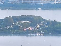 -紫峰大厦