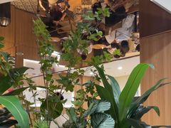 -霸王茶姬(正佳广场店)