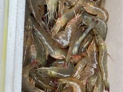 -蠔门宴海鲜城·阳江特色菜