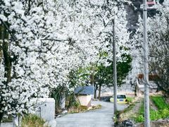 -郑姐私房菜•家常菜