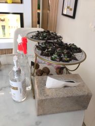 -佳慕祛痘皮肤管理连锁