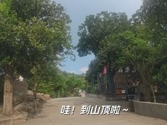 -紫金山山顶公园