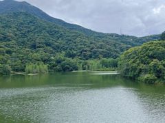 -梧桐山风景名胜区