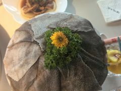 -酒城大贰火锅旗舰店