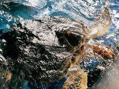 -成都浩海立方海洋公园