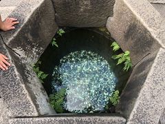 -蒋氏故居