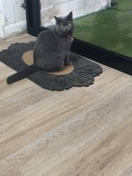 点击看大图 -Easy Lady美甲美睫半永久纹绣工作室