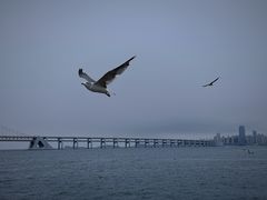 -星海广场
