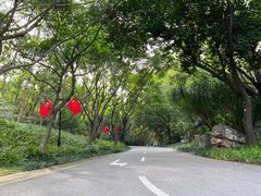 -深圳国际园林花卉博览园