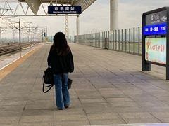 -临平南高铁站(地铁站)