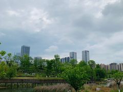 -桂溪生态公园