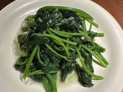 青炒苕尖-肆海小川菜酒馆Wine Bistro (青年路店)