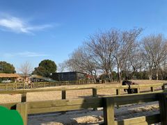 -苏州太湖西山岛开心农场