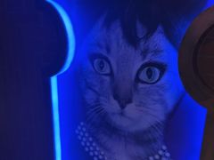 -秘宅KTV(马甸桥店)