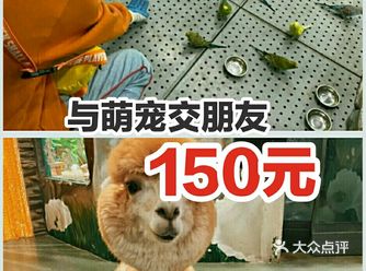 150元，全家一起来萌宠啦
