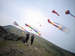 -大姆山草场