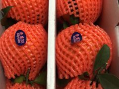 -鲜力达果品批发直销(青山店)