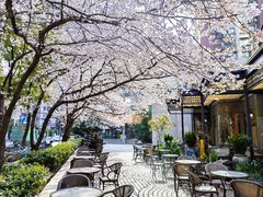 -玛格萝妮比萨屋(四平店)