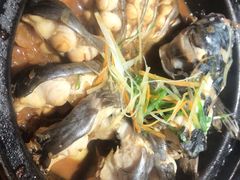 旱蒸剑齿鱼-桂客膳房·珍品堂