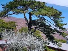 -妙峰山风景名胜区