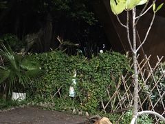 -福田红树林生态公园