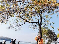 -东湖落雁景区