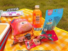 -重庆彩云湖湿地公园