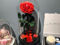 -Flower in(密渡桥店)