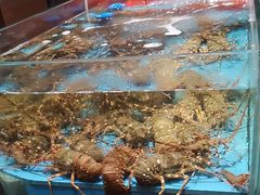-阿伟海鲜楼·福建菜(延寿店)