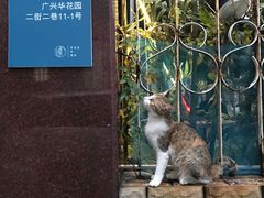 -虚荣精酿酒屋(五羊店)