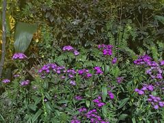 -大妙火锅·非物质文化遗产(东湖公园店)