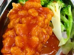 松鼠鱼-北京大学-燕南食堂