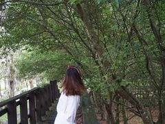 -瑞穗牧场