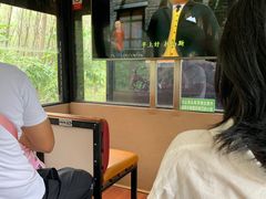 -合肥滨湖国家森林公园