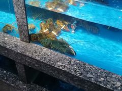 -宝燕海鲜(好爱店)