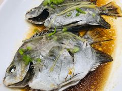-麒麟中餐厅·经典粤菜·地道菜式老字号(广州长隆酒店)