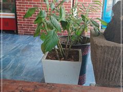 -冯记白土岗辣子鸡