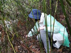 -武陵山森林公园