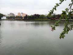 -杭州城北体育公园