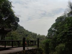 -莫干山风景区