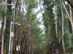 -南国桃园旅游度假区