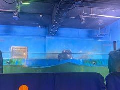 -常州海昌海洋探索馆