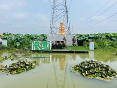 -池杉湖湿地公园