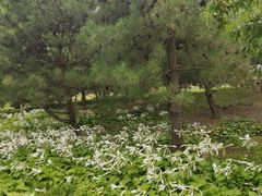 -东郊湿地公园