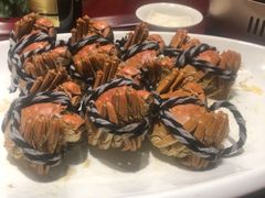 -森谷美食公园(杨行店)
